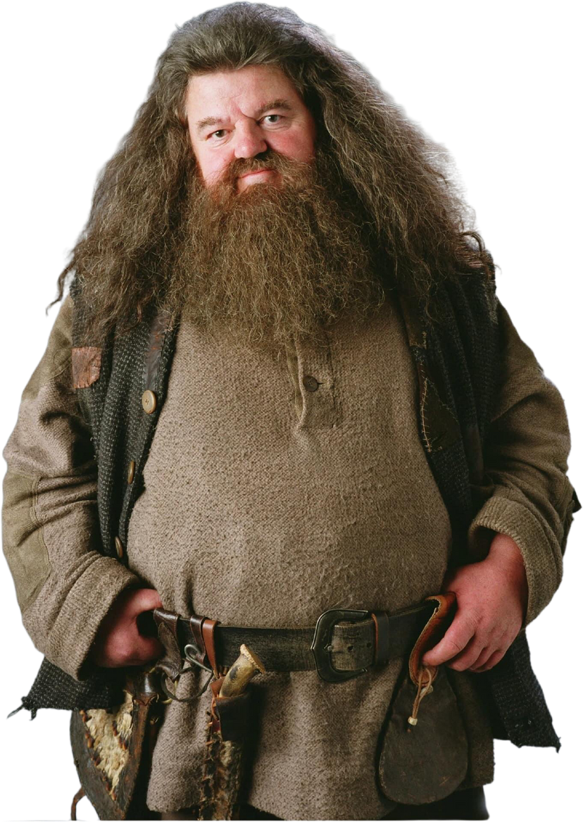 Rubeus Hagrid